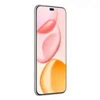 Honor 400 Pro 17 cm (6.7") MagicOS 9.0 5G 12 GB 512 GB 5300 mAh Gris