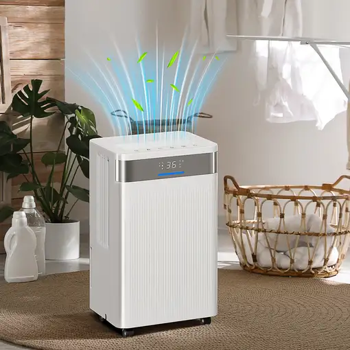 Deshumidificador 12L/día Silencioso con 3 Modos Pantalla LED Blanco HOMCOM