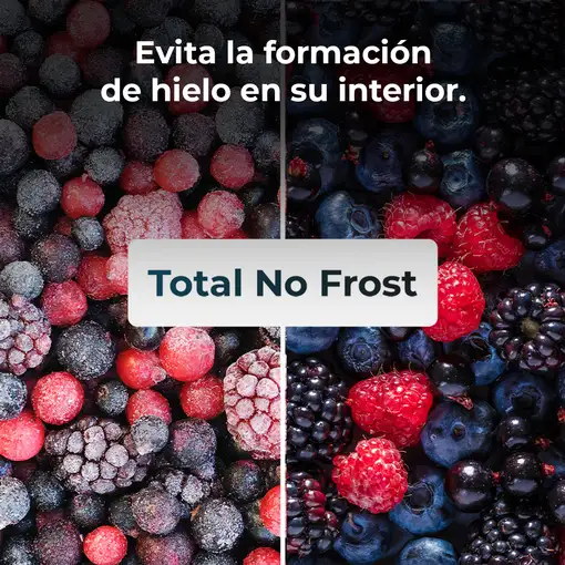 Cecotec Frigorífico combi Bolero CoolMarket Combi 250 Dark E