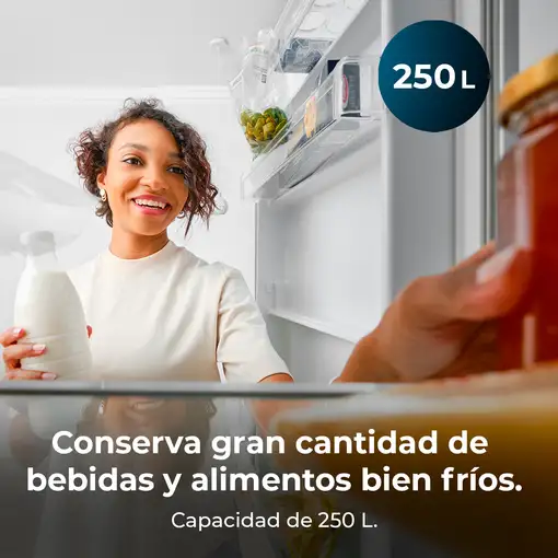 Cecotec Frigorífico combi Bolero CoolMarket Combi 250 Dark E