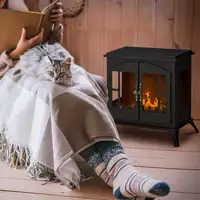 Chimenea de Bioetanol con Tanque de 0,9 L 55x31x55 cm Negro HOMCOM