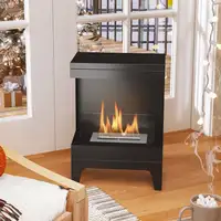 Chimenea de Bioetanol de Pie con Tanque de 0,9 L 38x22x54 cm Negro HOMCOM