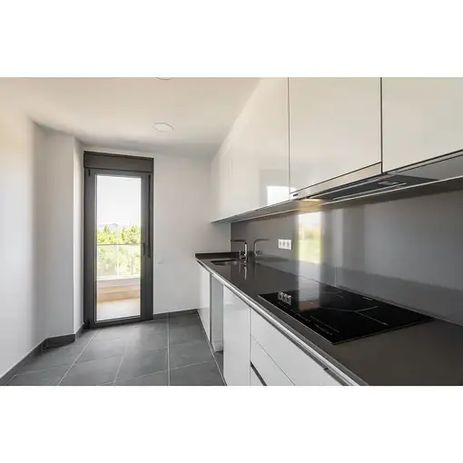 Placa de inducción 922272045 EDESA