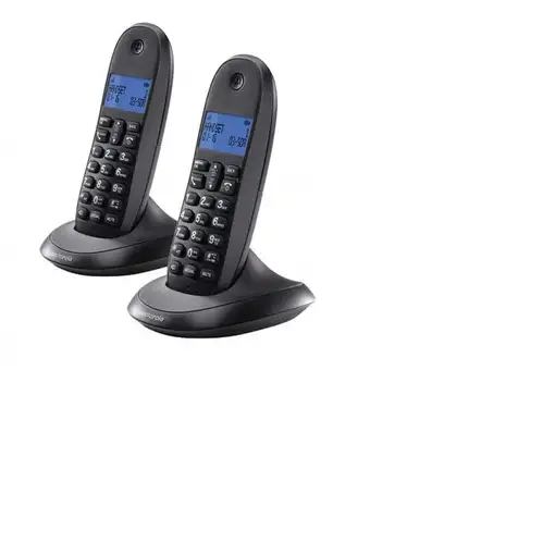 Motorola C1002 teléfono Teléfono DECT Identificador de llamadas Gris