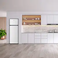 Nevera y congelador Independiente 243 L Blanco SF165501E SVAN