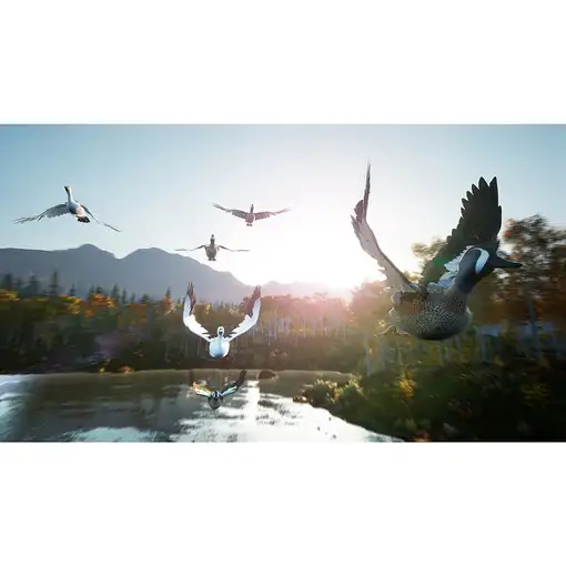 Bigben Interactive Hunting Simulator 2 Estándar Nintendo Switch