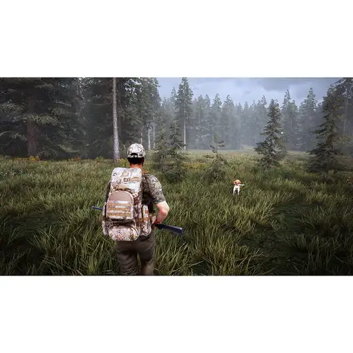Bigben Interactive Hunting Simulator 2 Estándar Nintendo Switch
