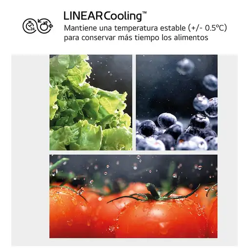 Nevera y congelador Independiente 277 L Acero inoxidable GBV22NCDPY LG