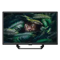 Strong SRT 24HE4023C 61 cm (24'') HD Negro 180 cd / m²