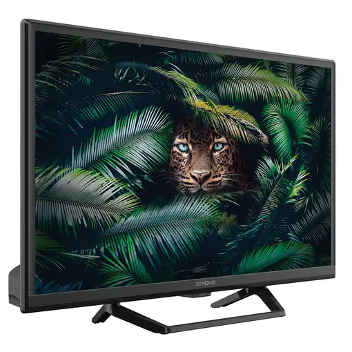 Strong SRT 24HE4023C 61 cm (24'') HD Negro 180 cd / m²